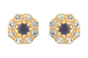 Flora Iolite & Blue Topaz Stud Earrings